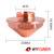 P0595-92881 Сопло двойное DE KT X DD 1.4 мм
