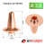 BLT-S3.5-F Сопло одинарное 3,5 мм (D27H34 M11) BLT-S3.5-F Сопло одинарное 3,5 мм (D27H34 M11)